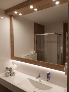 克拉尼斯卡戈拉阿尔皮纳酒店的一间带水槽和大镜子的浴室