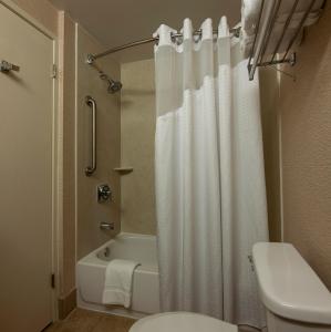罗瑞尔湖智选假日酒店及套房的一间浴室