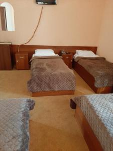 鲍里斯皮尔斯黛拉维扎酒店的客房设有两张床和一台墙上的电视。