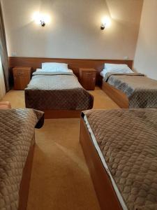 鲍里斯皮尔斯黛拉维扎酒店的一间酒店客房,房间内设有两张床