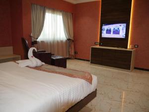 瓦加杜古Sonia Hotel的配有一张床和一台平面电视的酒店客房