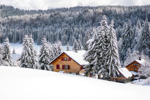 拉穆拉Le Diable Bleu的雪中小屋,有雪覆盖的树木