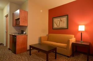 Holiday Inn Express & Suites Pine Bluff/Pines Mall, an IHG Hotel的休息区