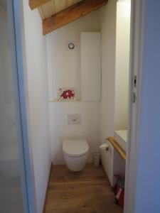 格雷兴Chalet Safran的一间带卫生间和水槽的小浴室