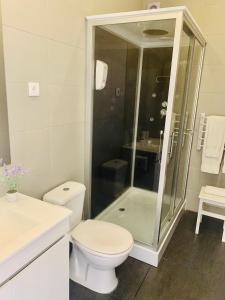 蓬塔德尔加达Urban Apart - Azores的带淋浴和卫生间的白色浴室