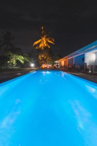 邦劳Selectum Mangrove Resort的棕榈树的大型游泳池
