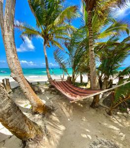 小玉米岛Little Corn Island Beach and Bungalow的海滩上棕榈树之间的吊床