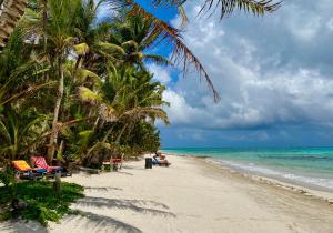 小玉米岛Little Corn Island Beach and Bungalow的棕榈树和海洋的沙滩