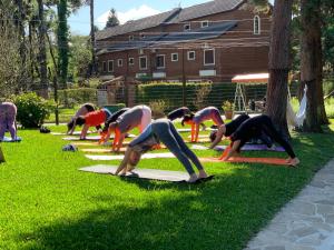 卡内拉苏珊娜维拉公园酒店的一群人在草地上做瑜伽