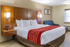 兰开斯特Comfort Inn Lancaster at Rockvale的酒店客房设有一张带红色毯子的大床