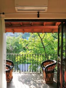 锡瓦塔塔内霍Ceiba Studios的阳台配有两把椅子,享有一棵树的美景