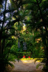 马萨特兰苍翠牧场别墅度假酒店的享有棕榈树和鲜花花园的景色