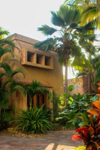 马萨特兰苍翠牧场别墅度假酒店的一座棕榈树建筑
