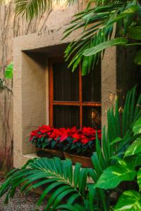 马萨特兰苍翠牧场别墅度假酒店的窗口盒里装红色鲜花的窗口