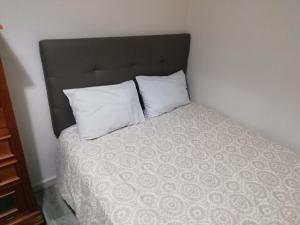萨莫拉Monsalve10的床上有2个白色枕头