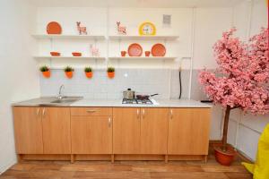 叶卡捷琳堡Aparts Leto的厨房配有木制橱柜、水槽和植物