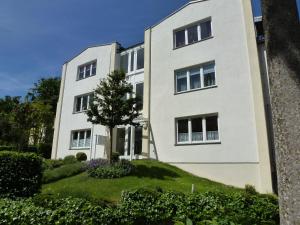 诺伊霍夫Villa Seestern _ Wohnung 2的前面有棵树的白色建筑