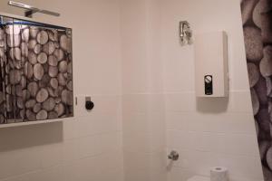 索林根Work & Stay apartments Solingen的带淋浴和浴帘的浴室