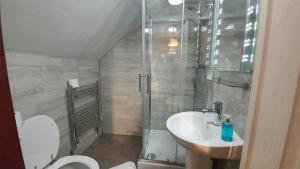 克劳利Little Foxes Hotel & Gatwick Airport Parking的带淋浴、卫生间和盥洗盆的浴室