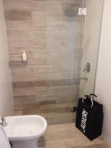 马德普拉塔EXCELENTE y completisimo monoambiente con cochera的一间带卫生间和玻璃淋浴间的浴室
