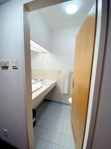 布达佩斯CEU会议酒店的一间带水槽、卫生间和镜子的浴室