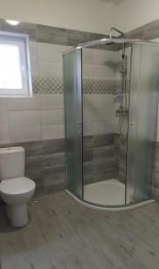 特热邦Penzion u Vodníka的一间带卫生间和玻璃淋浴间的浴室