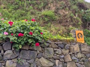 坎普自由鎮Quinta da Pavoa - Cottage House的石墙,有红色的花朵和标志