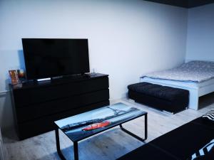 阿尼克什奇艾Black & White Studio的客厅配有电视、床和桌子