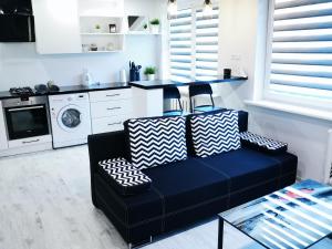 阿尼克什奇艾Black & White Studio的一间带蓝色沙发的客厅和一间厨房