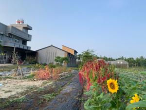 万峦Hakka Eco-farm 雅歌園民宿食農教育有機農場的相册照片