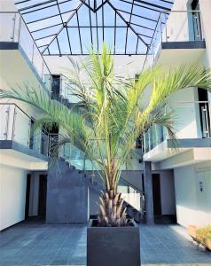 鲁西隆地区卡内马里布村假日公园的一座建筑前的棕榈树