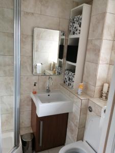伦敦Dream Time Apartments-Aqua Suite的一间带水槽、卫生间和镜子的浴室