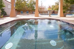 拉伯克Staybridge Suites Lubbock-University Area, an IHG Hotel的庭院里的一个游泳池