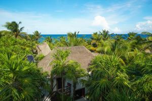 图卢姆塞尔瓦海滩酒店的享有棕榈树度假村和大海的景致。