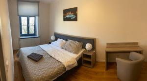 格涅兹诺Apartament Aleksandra的卧室配有1张床、1张桌子和1把椅子
