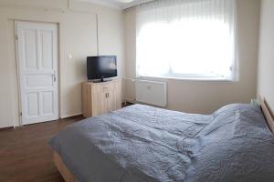 科马罗姆Chill Apartman的一间卧室配有一张床和一台平面电视