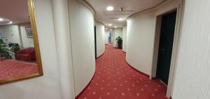 比耶拉欧罗巴酒店 的走廊上铺有红地毯,配有镜子