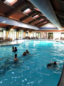 东斯特劳兹堡Pocono Villas Resort的一群人在游泳池游泳
