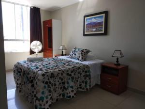 皮斯科PiscoMar Peru的一间卧室配有床、灯和窗户
