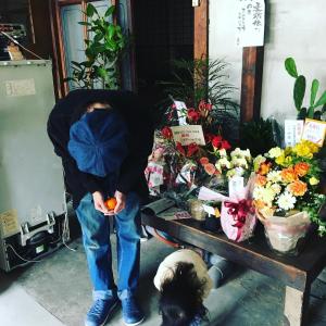 松山Bakushuku Den Guest House Brew的一只狗在桌子前抱着橙子的人