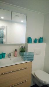 皮滕Modern en compleet chalet 22-15的一间带水槽、卫生间和镜子的浴室