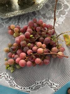 MelaahMaison d'hôtes "Abou-Hachem"的坐在桌子上的一束粉红色葡萄