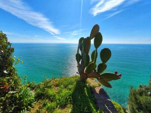 克里日亚La Terrazza Sul Blu的相册照片