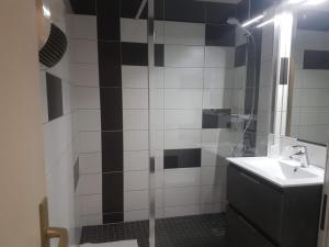 弗勒里Logis Hotel Des Grands Vins的浴室配有盥洗盆和带镜子的淋浴