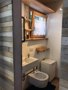 摩德纳迪-坎皮格里奥Appartamento Campiglio的一间带水槽和卫生间的浴室