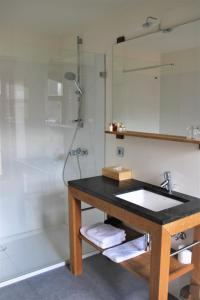 莫塞勒比克旅社的一间带水槽和淋浴的浴室