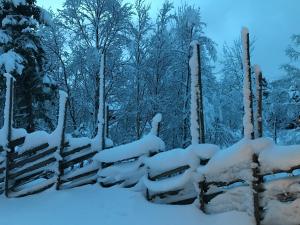 海姆瑟达尔基克波恩海特酒店的雪覆盖的花园