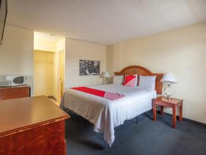 圣安东尼奥OYO Hotel San Antonio Lackland near Seaworld的酒店客房配有一张床铺和一张桌子。