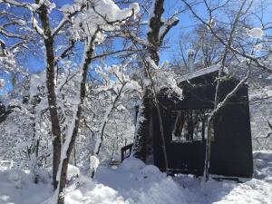 拉斯特朗卡斯Chillán House的一座房子,被雪覆盖在树旁