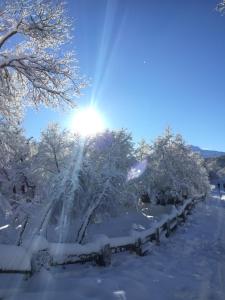 拉斯特朗卡斯Chillán House的相册照片